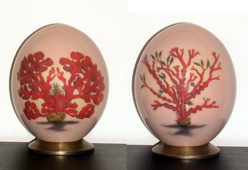 Rosso corallo su beige (5+6) C14B