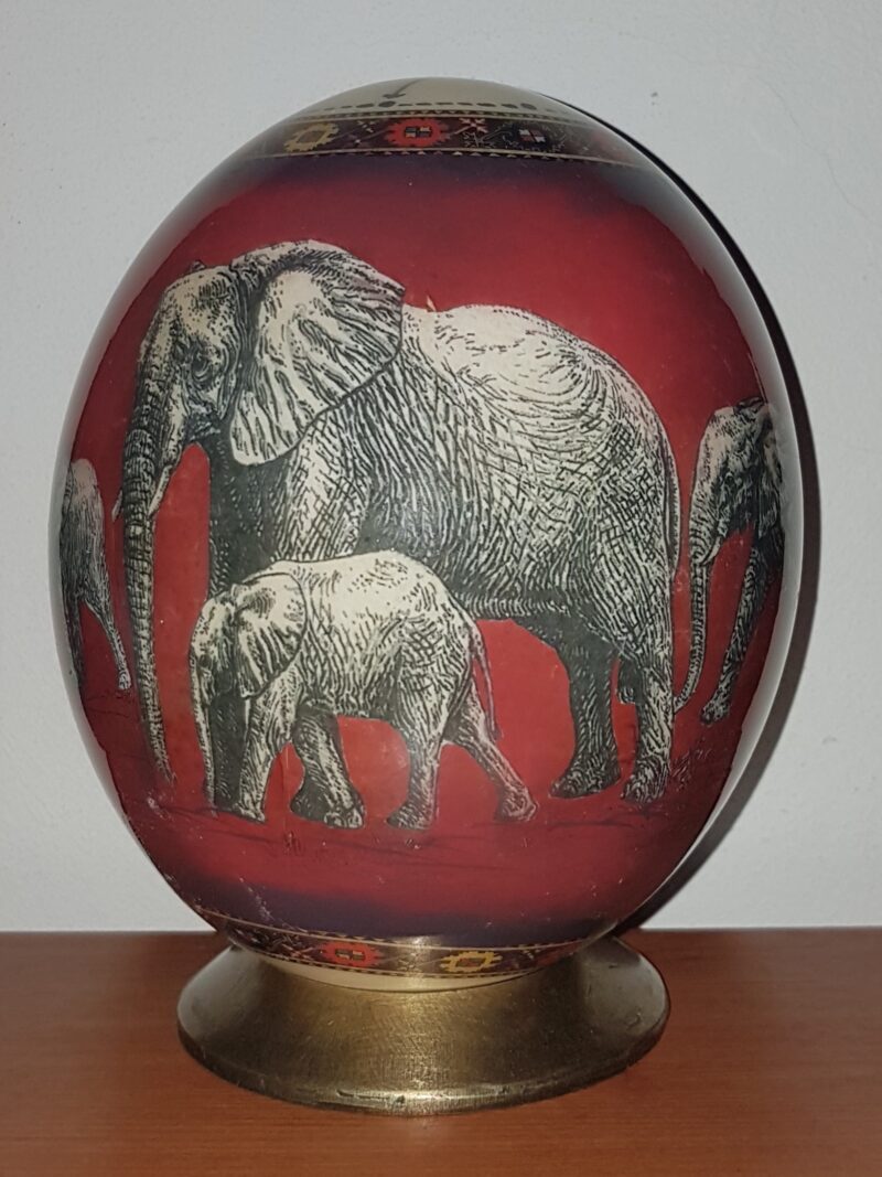 Bordeaux- Elefante e top etnico F03/J3-BX