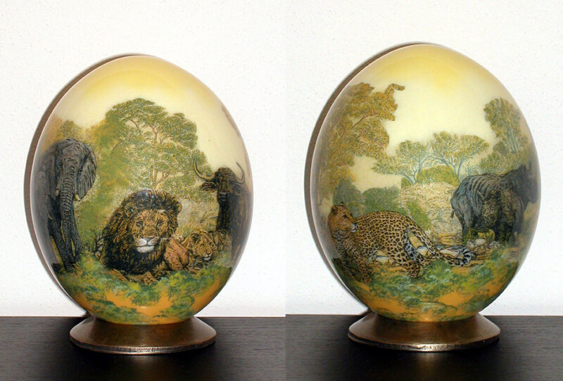 Collezione gialla - Big 5 U2
