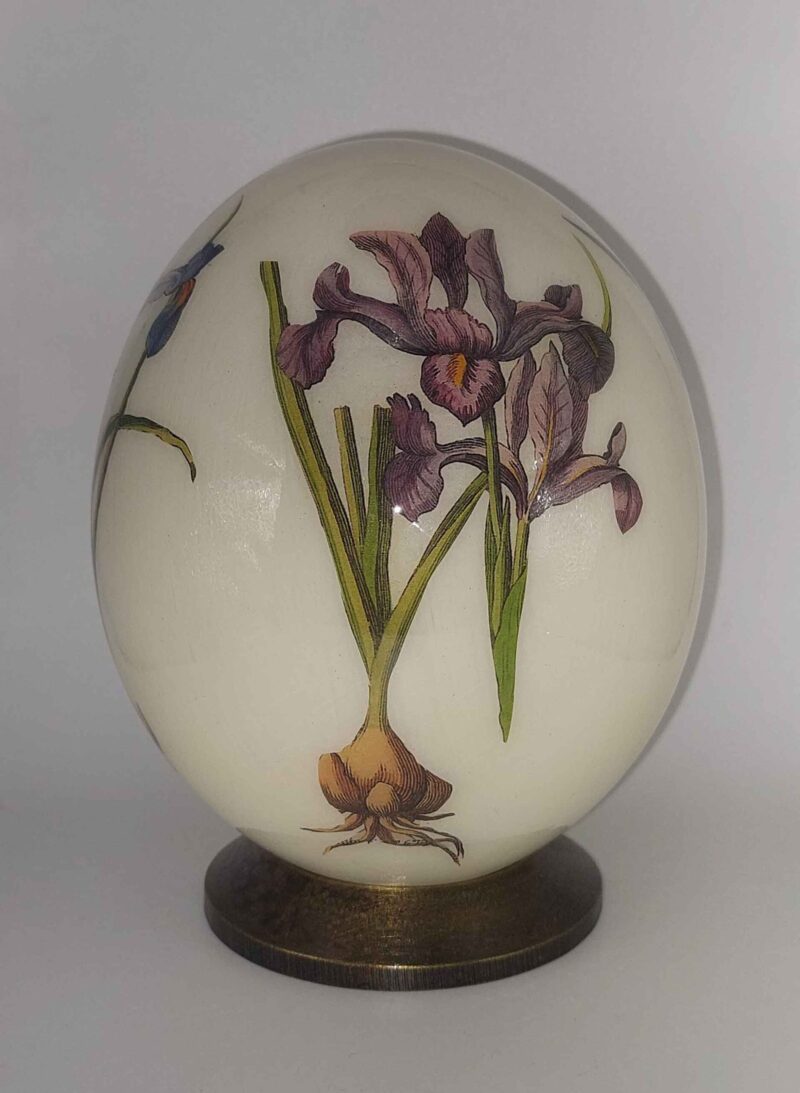 Iris F03/F2
