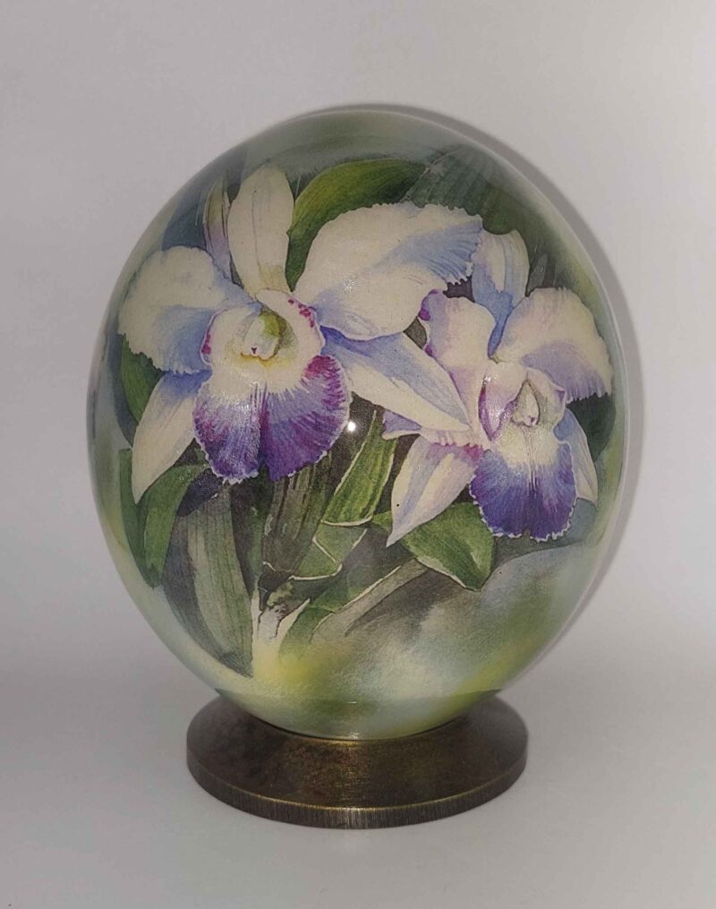 Orchid F03/F4