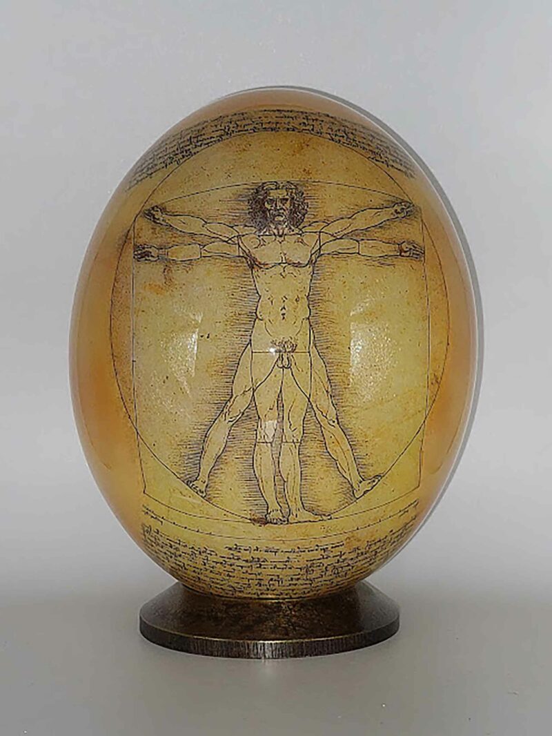 Leonardo da Vinci Vitruvian Man P6A