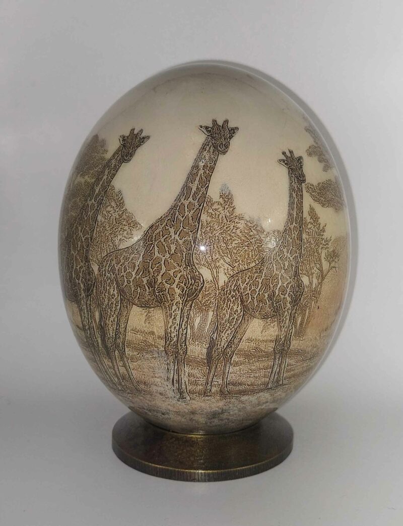 Collezione Antica - Giraffe U1A