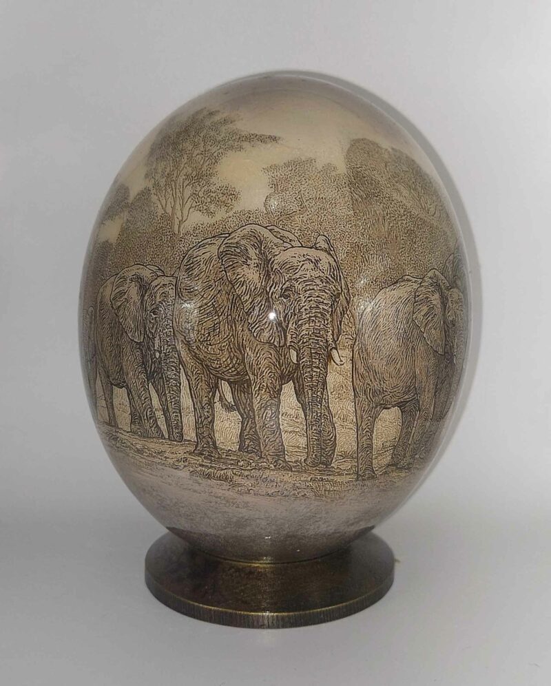 Collezione Antica - Elefante U3A