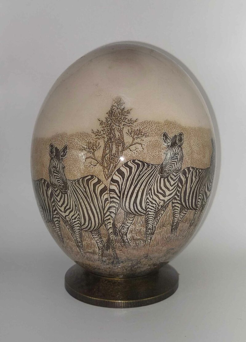 Antique Collection - Zebra U6A
