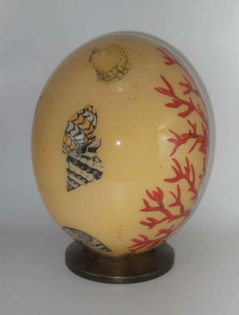 Conchiglie e corallo / Beige C5 - immagine 2