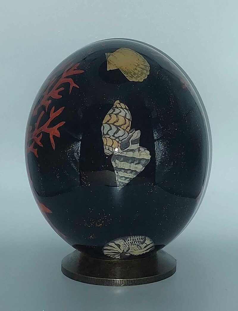 Conchiglie e corallo / Nero C6 - immagine 2